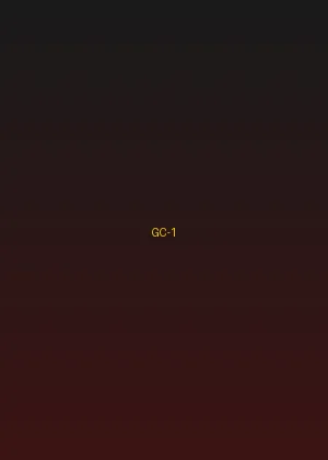 四虎视频 - 暗夜追踪海报