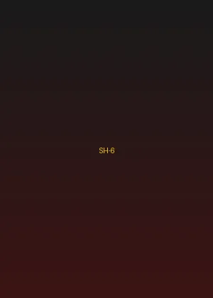 四虎视频 - 极速追击海报